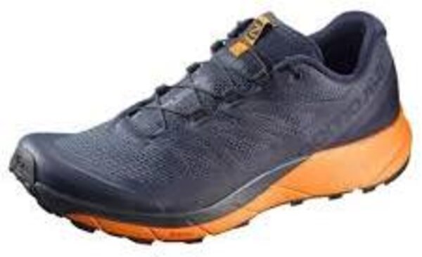 Salomon SENSE RIDE Navy Blaze/Bri