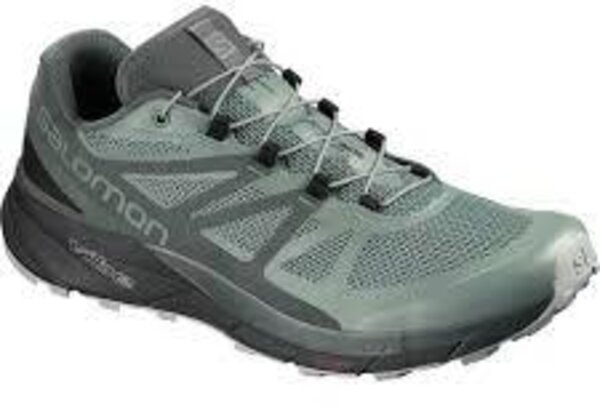 Salomon Sense Ride GTX Invisible Fit Balsam Green/Urban/Monument 11.5