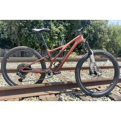 Specialized Custom Build Stumpjumper Expert Carbon