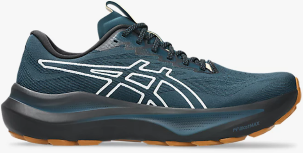 Asics Men's GT-2000 14 Trail Nature Bathing