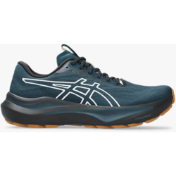 Asics Men's GT-2000 14 Trail Nature Bathing