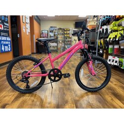  Kids - Used Nishiki Pueblo 20