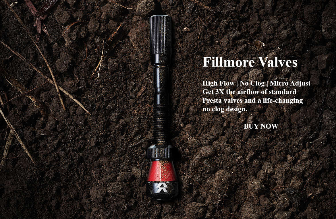 fillmore valves with cushcore