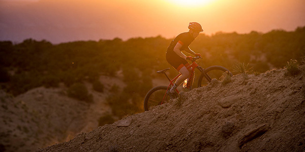 Staff Pick - Specialized Bikes at Phoenix