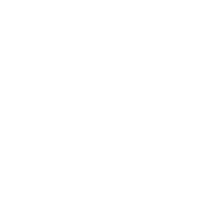 Giant logo - link to catalog