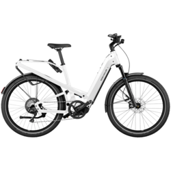 Riese & Müller Nevo4 Gt Vario