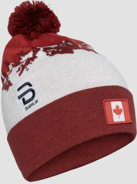 Bjorn Daehlie Hat Champion