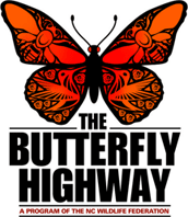 The Butterfly Highway logo