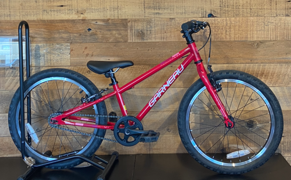 Garneau USED Rapido 203 20" Single Speed Kids Bike Dark Red Pink 