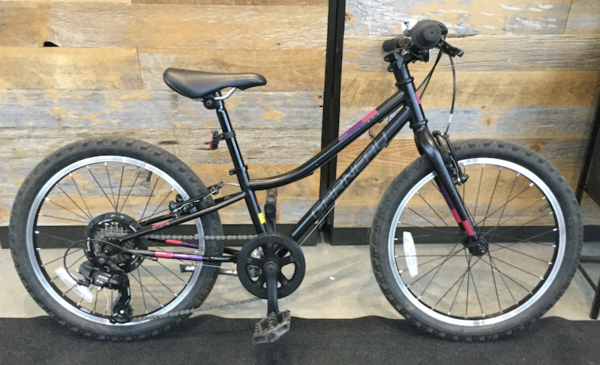 Garneau USED Black w/ Pink/Purple Rapido 202 20" 6sp Kids Bike 