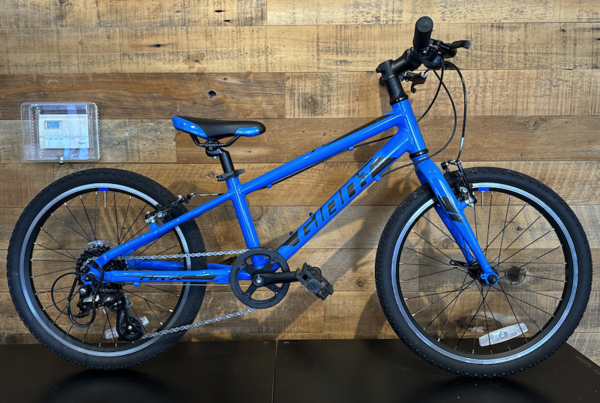 Giant USED 2021 ARX 20" Kids Bike Blue MSRP $569