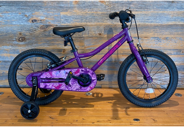 Garneau USED F16 Kids Bike Purple Flora 
