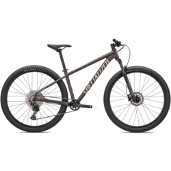 Specialized Rockhopper Elite 29 Satin Doppio XXL