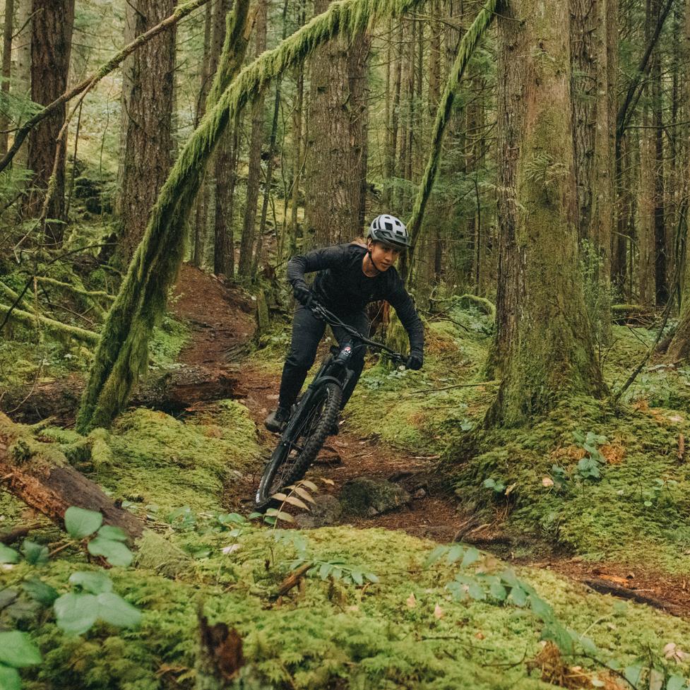 Human Riding a bicycle through green woods