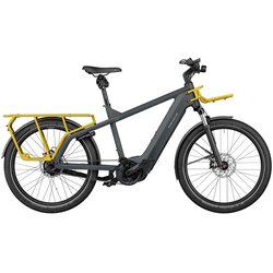 Riese & Müller Multicharger GT Vario HS