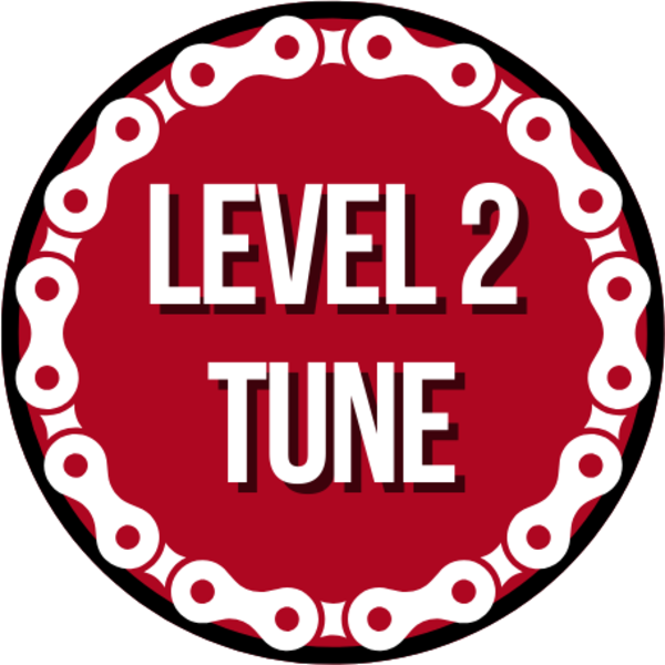 Full Cycle/Tune Up Level 2 Tune
