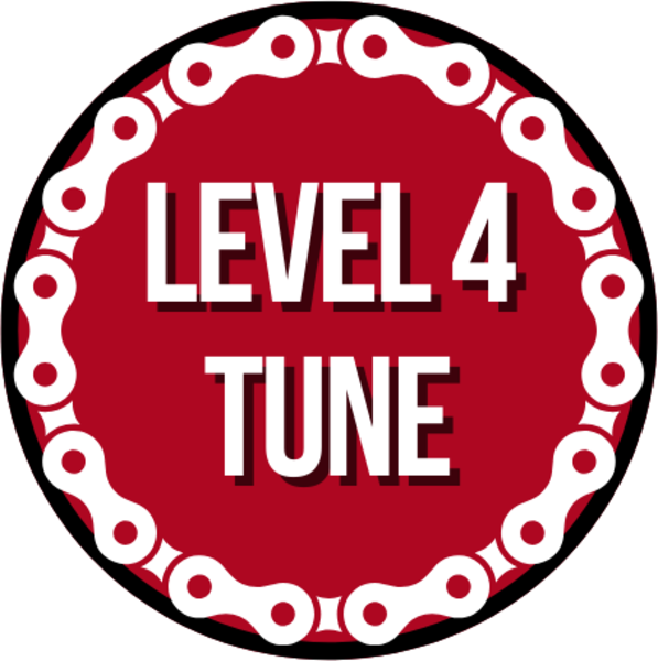 Full Cycle/Tune Up Level 4 Tune