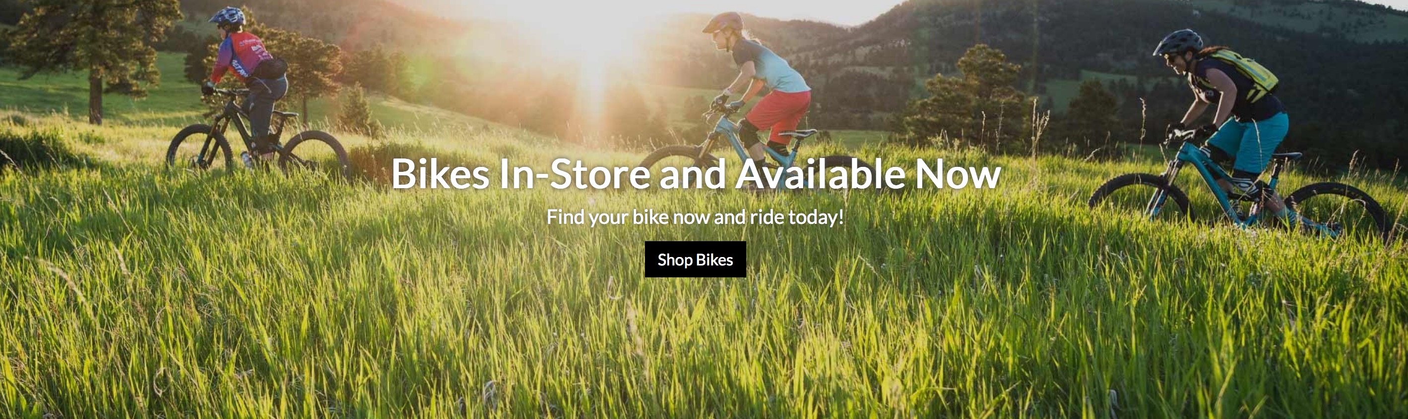 Edison Cycle Co | Poway, San Diego, Ramona, CA | Bike Shops