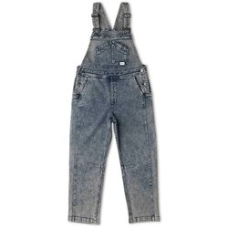 Ripton & Co Starving Jartist Overalls Women's