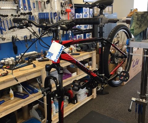 Slipping Gears Cycling - Bangor Bike 