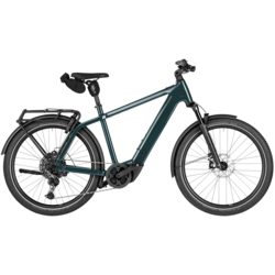 Riese & Muller Riese & Muller Charger 5 Touring W/ ABS | Pine | 53CM