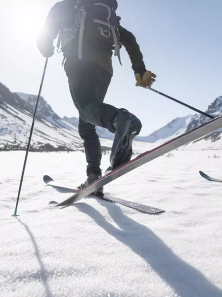 Madshus XC Skis Panorama M78 BC - Gerick Cycle & Ski | Nelson, BC