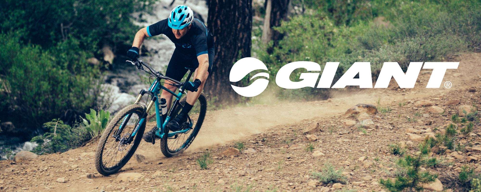 Giant Bicycles For Sale - Bobs Bikes