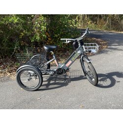 Used Bike Used Buzz eTrike (Grey)