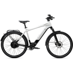 Priority Bicycle Skyline Smart.Shift E-Bike