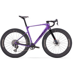 Wilier Triestina Rave SLR ID2 GRX Di2 with Miche Graff