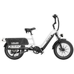 Heybike Hauler (Dual Battery)