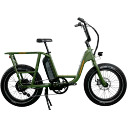 Rad Power Bikes RadRunner 2 Urban Cruiser E-Bike GN (Demo)
