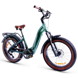 Magnum Bikes Bliss 750 ST 24 Urban Cruiser
