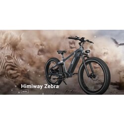 Himiway Zebra All-Terrain Fat-Tire E-bike