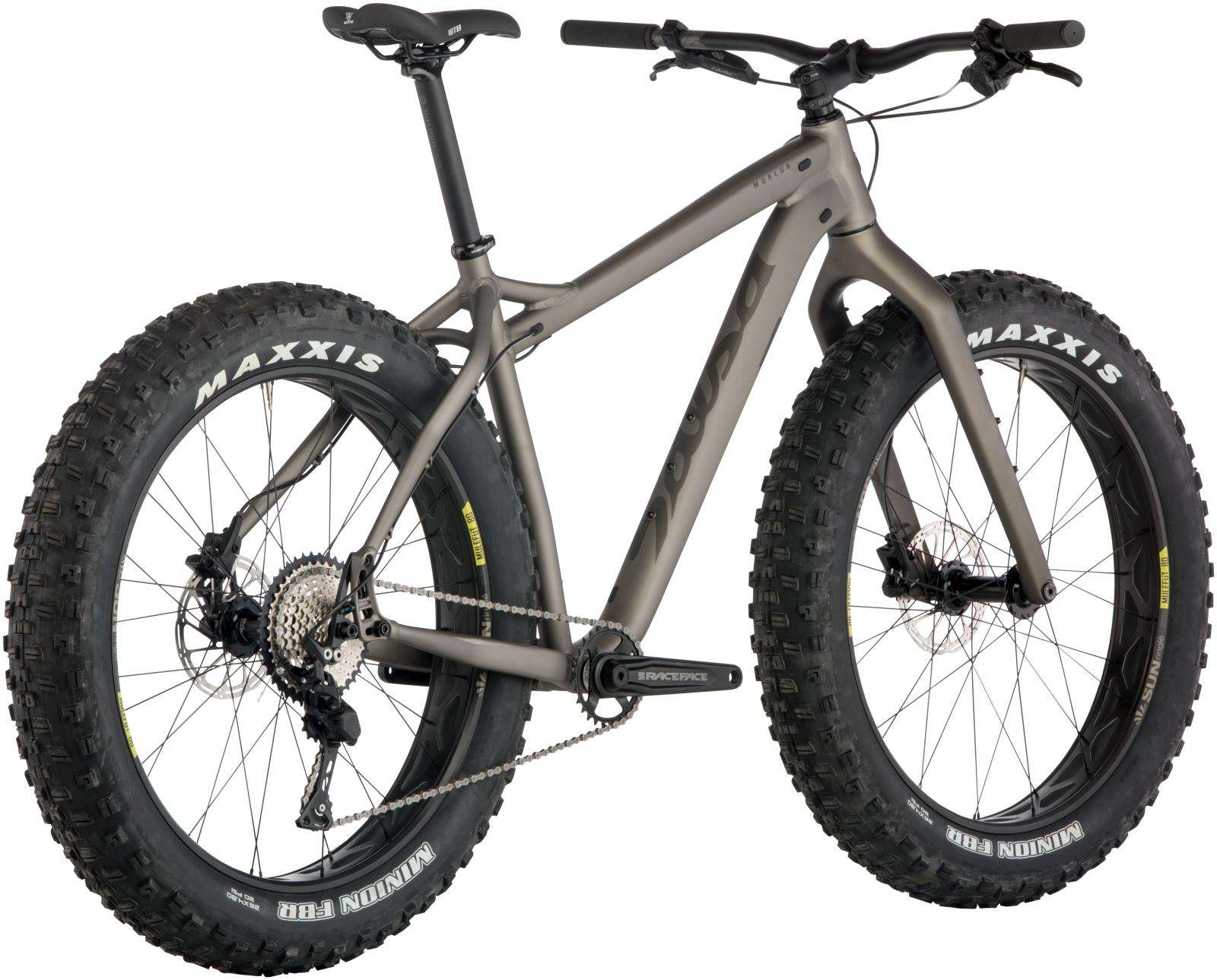 salsa fat bikes 2019