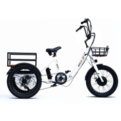 EMOJO BISON S 500 TRICYCLE