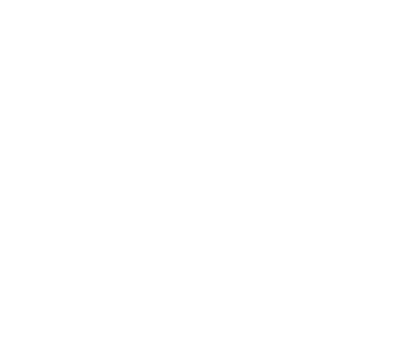 Iron Shoe Logo