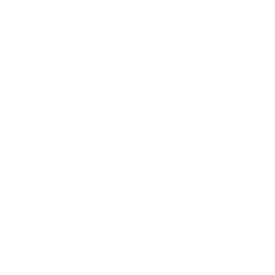 Electra Bicycle Co.