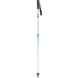 Swix Blue Snow Jr's Ski Pole