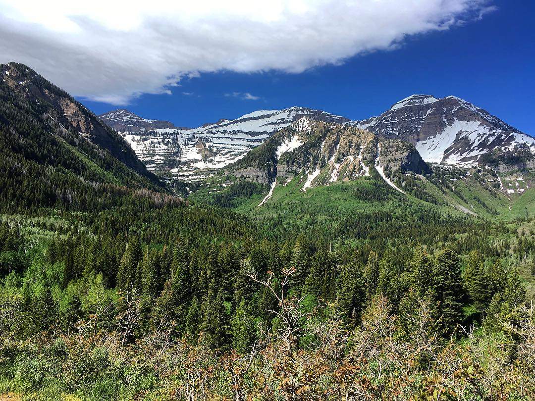 Image of American Fork Canyon