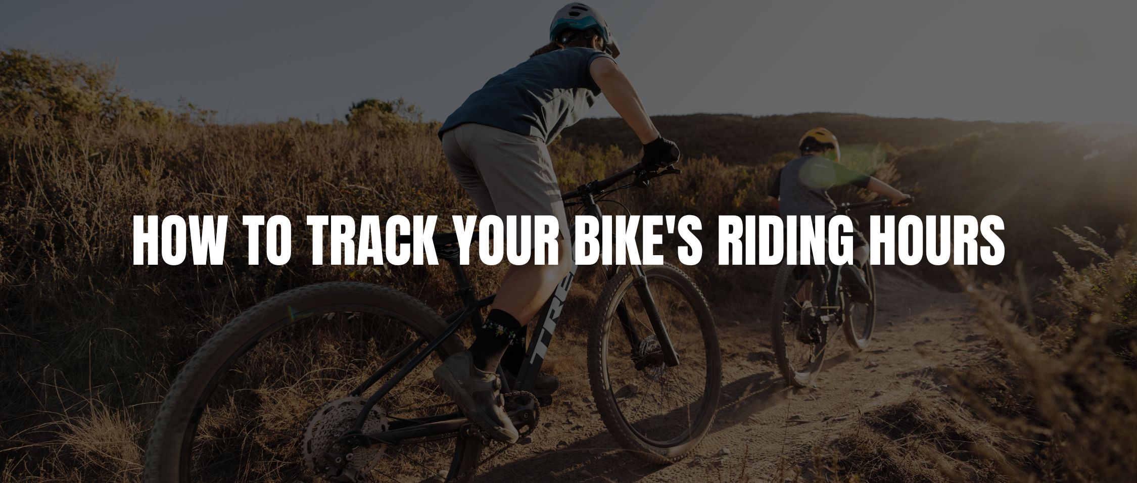 How To Track Your Bike's Riding Hours. Image of people riding their mountain bikes