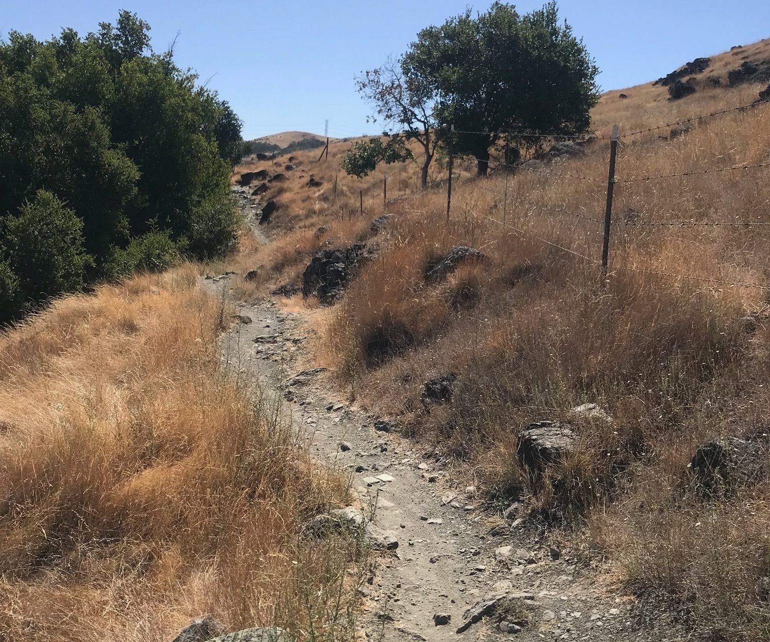 a snapshot of a gravel biking trail