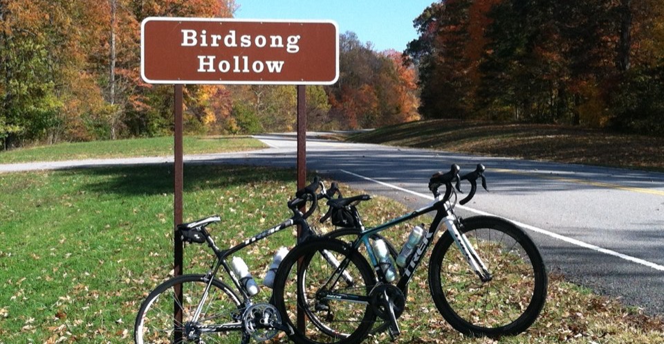 Birdsong Hollow on the Natchez Trace Parkway