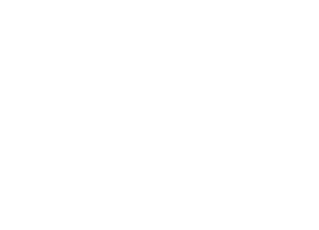 fat bike icon
