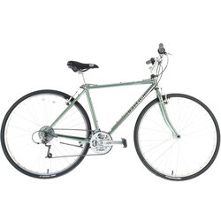 Raleigh C40 - 19
