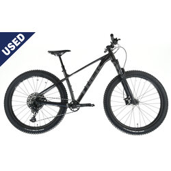 Trek Roscoe 7 - Medium