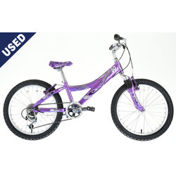 Trek MT60 20 6-Speed Suspension - Wheel & Sprocket | One of