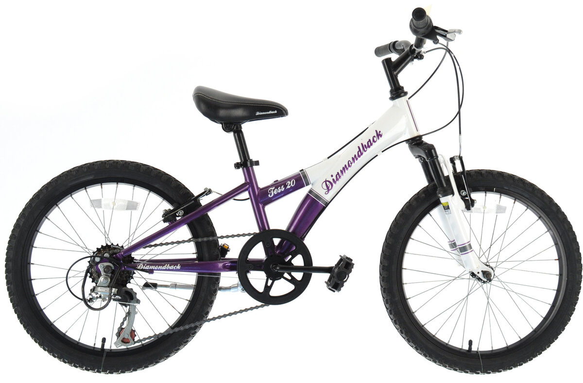 diamondback tess 20 manual
