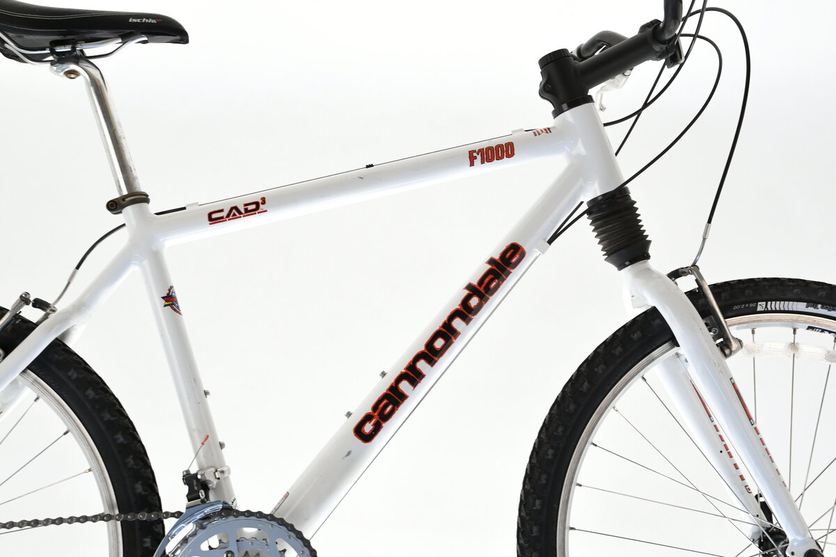 Cannondale F1000 - 19