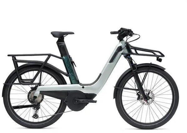 VAAST Bikes E/1 XT/SLX